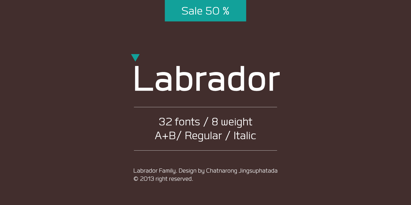 Labrador B